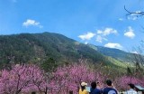 桃花源记：发现桃花源背后的秘密与故事之旅