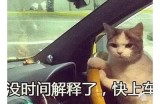 老司机分享精彩内容，开启你的趣味探索之旅！