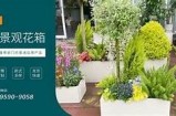 探索91日常生活中的趣味视频分享，尽享轻松娱乐时光！