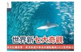 探索奇趣世界的入口：发现各种新奇事物和惊喜的网站推荐