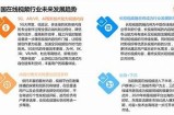 "全面分析91大视频平台特性与用户体验的深度报告"