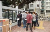 探索91碰入口的多元用法与应用技巧，助你高效提升在线体验