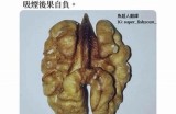 《牛牛热碰：畅享激情无限的互动游戏体验》