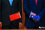 澳洲华人生活指南与资源共享平台