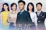 《精英律师》全集在线免费观看，带你领略精彩法庭争辩与职场智慧。