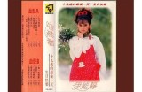 《迷雾中的秘密：91号公寓的惊人真相》