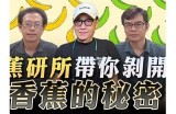 探索91香蕉传媒的安全访问方式与使用指南