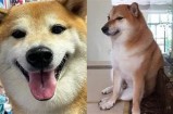 探索废柴网：全新视频入口，精彩内容等你来发现！