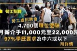 找工作不再难：91job人才市场全新入口，助你轻松招聘与求职