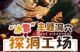 探索qyl91平台的独特入口，揭开全新体验与功能的神秘面纱