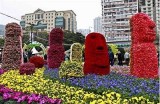 绿色环保视频分享平台，畅享多元化精彩内容，助你轻松娱乐。