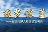 提供优质在线视频资源，安全观看最新电影和剧集。
