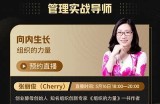 探索最新热门视频平台，畅享精彩影视内容的入口推荐