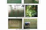 探索91成入口的多样性与应用潜力，揭示其背后的实际价值与意义
