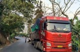 观看香蕉类视频，享受健康美食与生活小窍门的精彩分享。