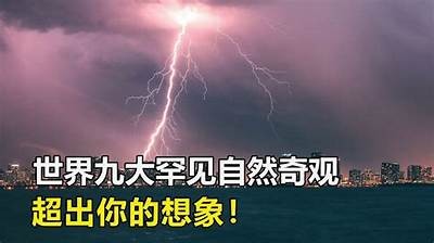 探索91本色的多元世界，发现独特的生活视角与灵感