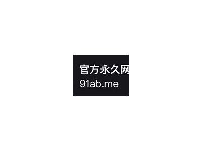 91网站的最新永久入口及使用指南分享