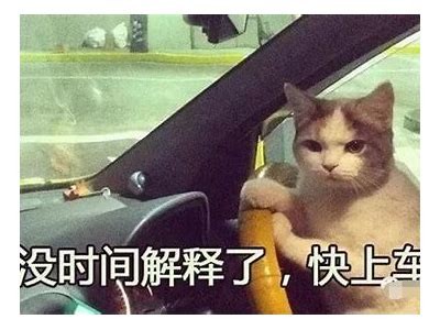 老司机分享精彩内容，开启你的趣味探索之旅！