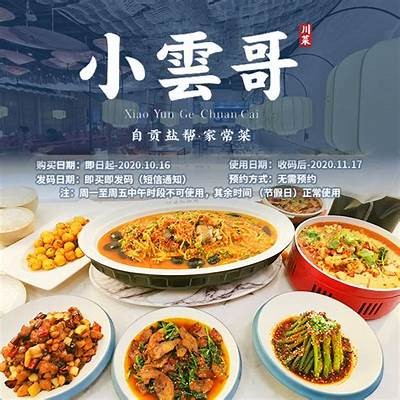 "91轻量版在线平台访问入口及使用指南"