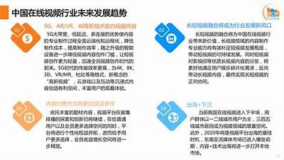 "全面分析91大视频平台特性与用户体验的深度报告"
