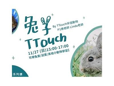探索兔子跳跃的乐趣，带你领略可爱的兔子世界！