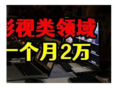 丰富多彩的免费视频资源推荐，尽享视觉盛宴与学习乐趣