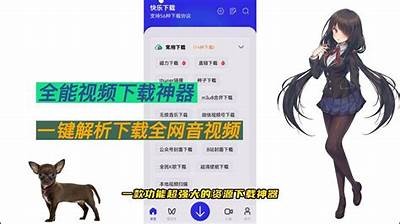 资源下载工具推荐：轻松获取高清视频资源的最佳选择