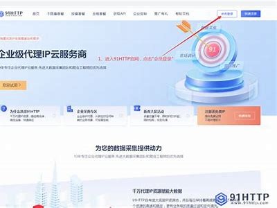 访问91内部系统的安全入口及使用指南