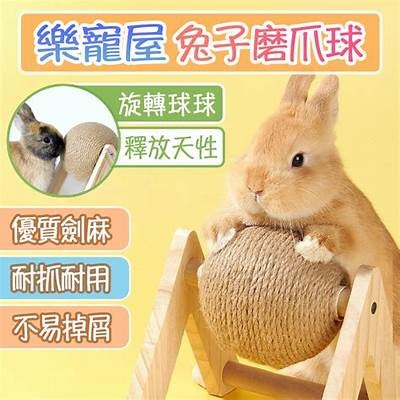 探索兔子跳跃的乐趣，带你领略可爱的兔子世界！