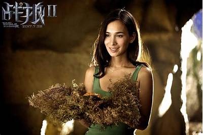 《战狼2》完整版在线观看，带你感受热血与荣耀！