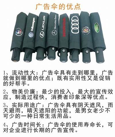 91蝌蚪官方登录入口及使用指南，轻松获取最新资源！