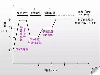 探索91person平台的多样化功能与使用指南，让您高效获取最新信息。