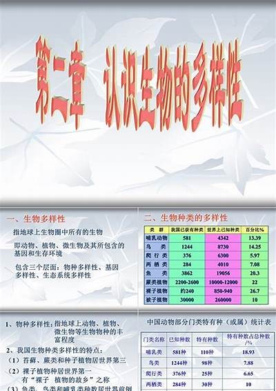 探索在线免费视频的多样性与互动体验，畅享全新视听盛宴。