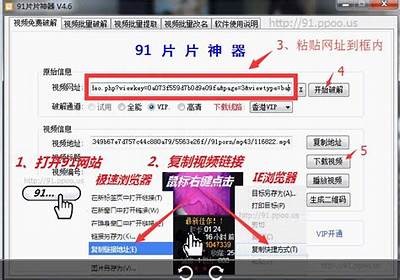 获取91地址入口的正确访问链接与使用指南