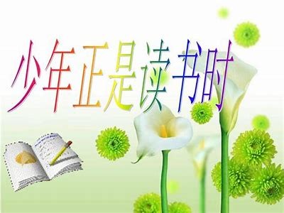 91速课官网：官方登录入口及使用指南分享