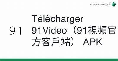 《91视频播放器免费下载与使用指南》