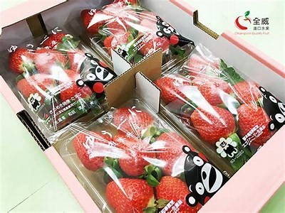 水莓91动漫视频推荐：畅享精彩动画与高清视听体验！