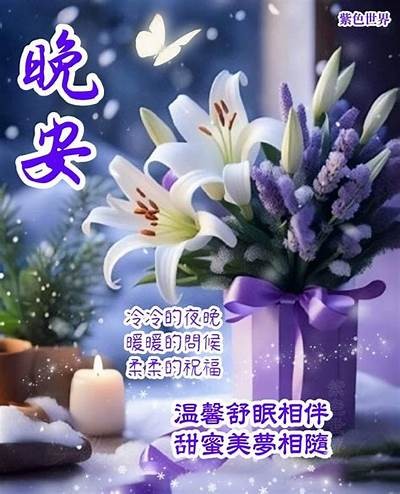 寒夜星暖完整视频免费观看，尽享温暖与感动的故事珍藏。