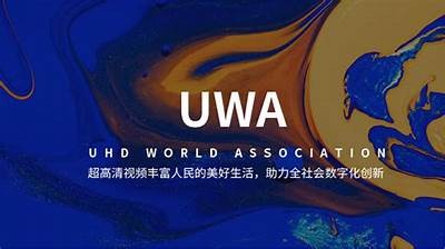在线观看高清视频和最新内容的合法入口推荐