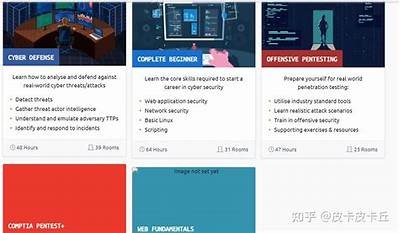 探索国内在线平台的安全与合规性使用指南