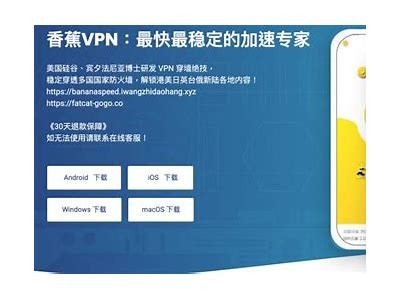安全稳定的香蕉应用平台入口，便捷享受优质服务与娱乐体验