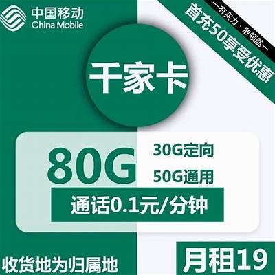 获取91白卡访问方式的完整指南与说明