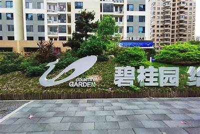 探秘国产富二代的奢华生活与消费方式