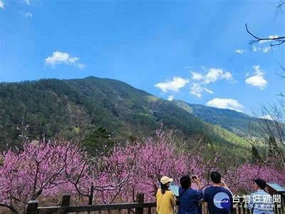 桃花源记：发现桃花源背后的秘密与故事之旅