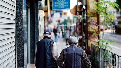 探索福利相关资源与服务的便捷入口平台，助您轻松获取所需信息