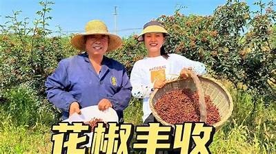 《花椒红了》电影免费观看方法大全，畅享精彩剧情与感人故事！