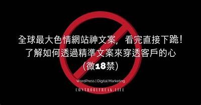91亚瑟成人应用程序下载链接及使用指南分享